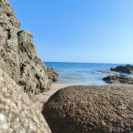 Le 3 Appartement Vue Mer Avec Jardin 100M De La Plage Et De La Thalasso Конкарно Екстер'єр фото