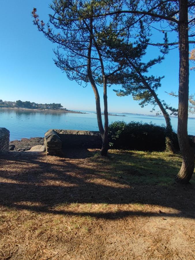 Le 3 Appartement Vue Mer Avec Jardin 100M De La Plage Et De La Thalasso Конкарно Екстер'єр фото